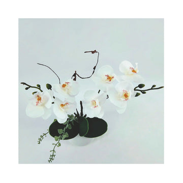 27cm White Artificial Orchid Display in White Pot