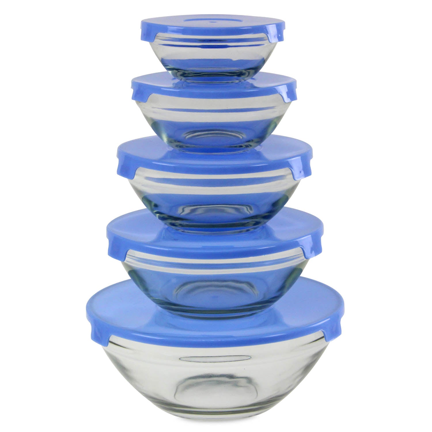 5pcs Storage Bowls with Blue Plastic Lid