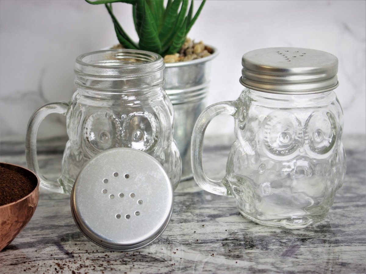 Owl Shaped Glass Salt and Pepper Shaker Jars - Bonnypack