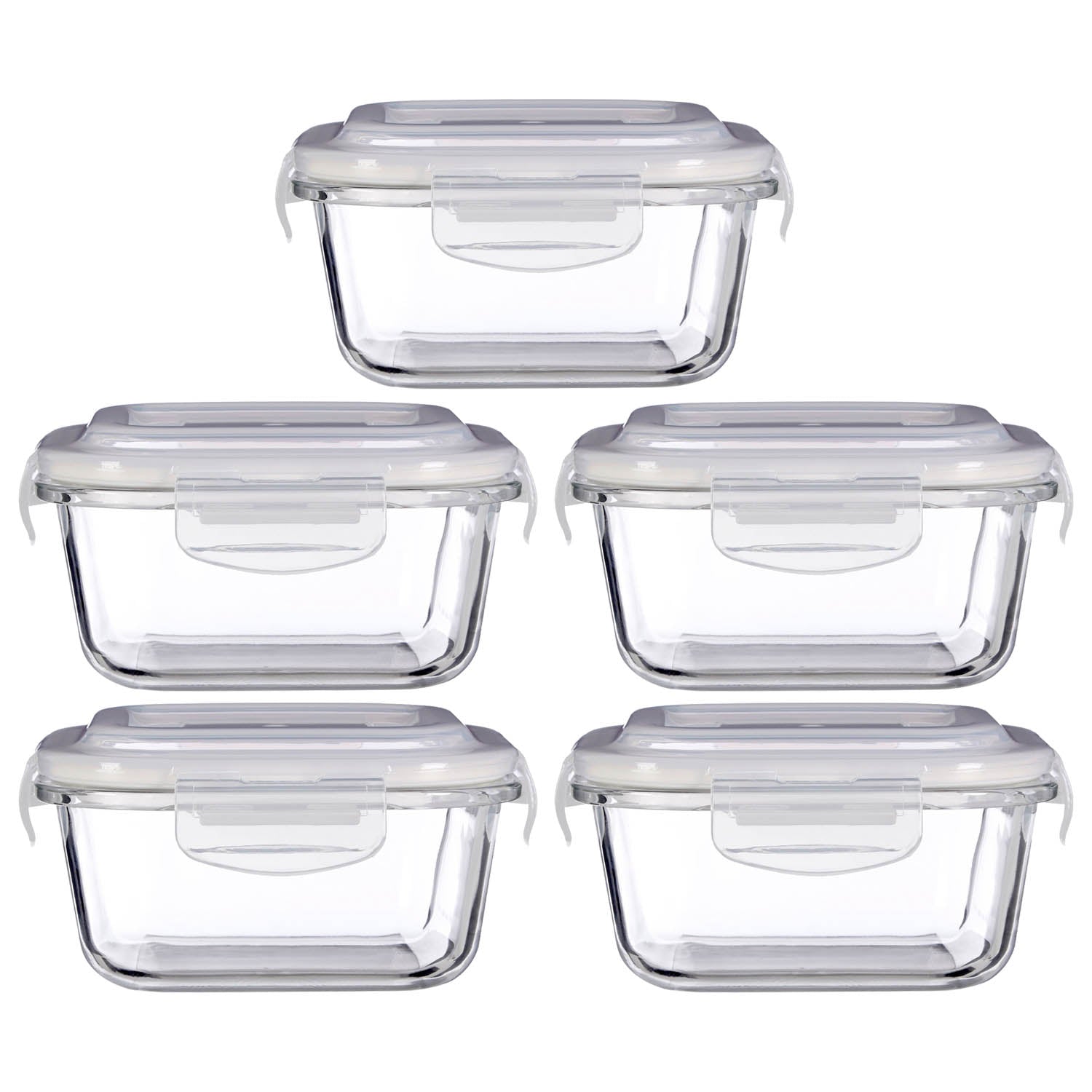 Set of 5 Freska 520ml Glass Food Container