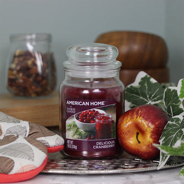 Yankee 19oz Jar Candle Delicious Cranberry Flavour