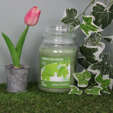 Yankee 19oz Jar Candle Sunlit Leaves Flavour